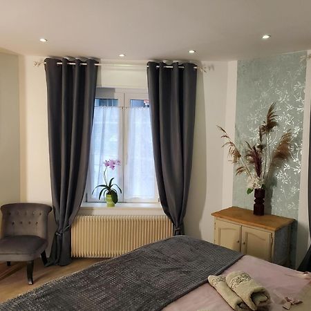 Mirka & Franck Apartment Chic 4 Stars Parking Free Кольмар Экстерьер фото