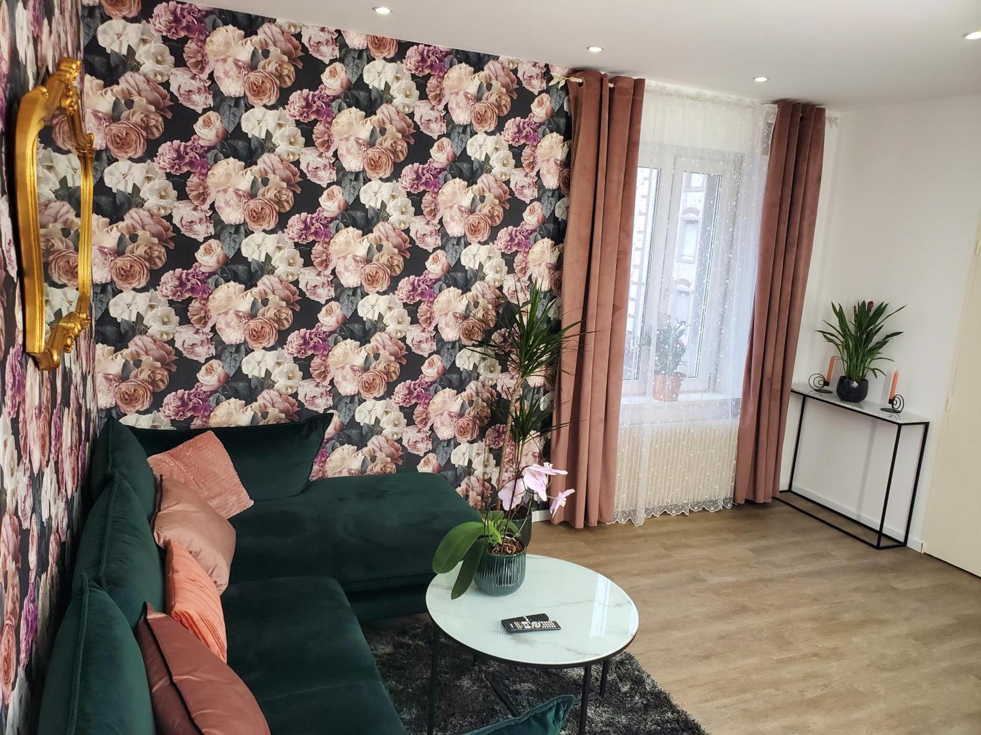 Mirka & Franck Apartment Chic 4 Stars Parking Free Кольмар Экстерьер фото