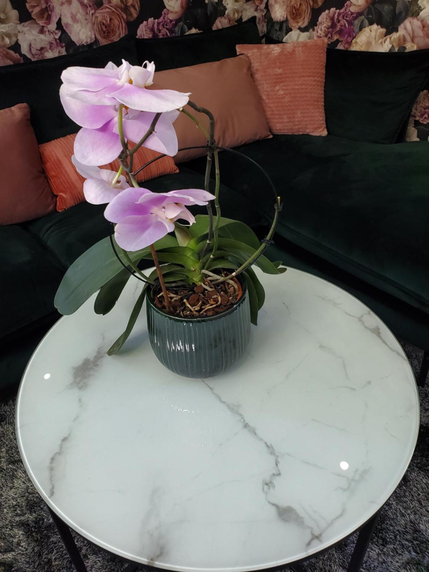 Mirka & Franck Apartment Chic 4 Stars Parking Free Кольмар Экстерьер фото