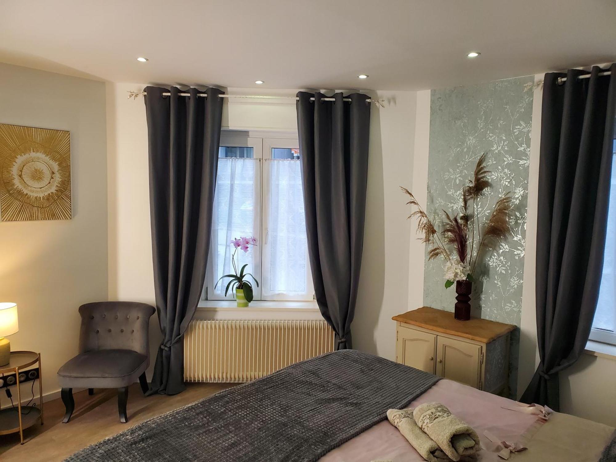 Mirka & Franck Apartment Chic 4 Stars Parking Free Кольмар Экстерьер фото